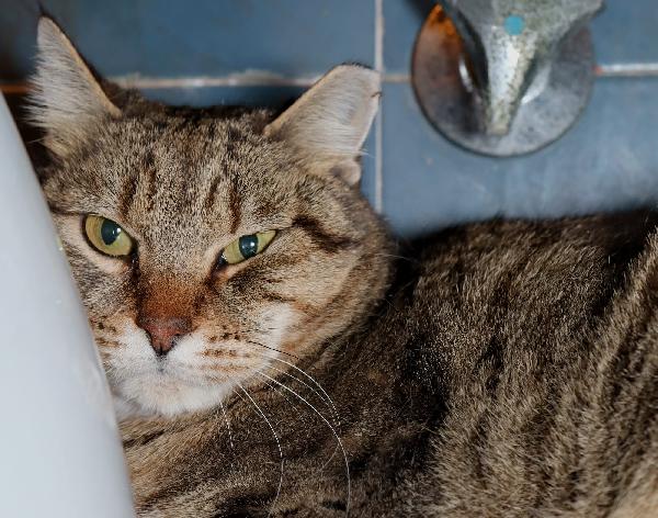 Patrizio Patatotto Patty Foto 3